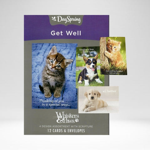 Box Cards Get Well Whiskers And Paws