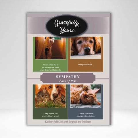 BOX CARD SYMPATHY LOSS OF PET