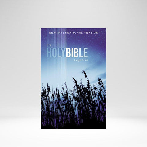 NIV(2011) Bible, Outreach Large Print Edition