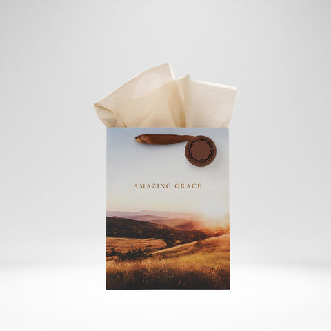 Gift Bag Amazing Grace Large