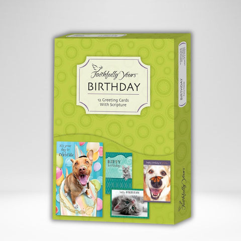 Box Card Birthday Furry Friends