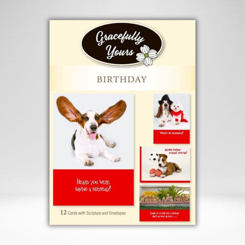 Box Card Birthday Paws For Celebration
