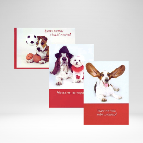 Box Card Birthday Paws For Celebration