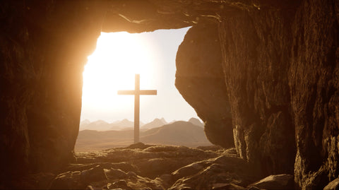 Honest Questions, Real Answers About the Bible